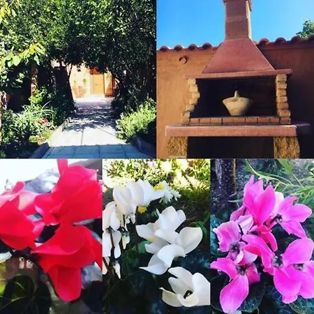 Il Mandarino Bed & Breakfast Decimomannu